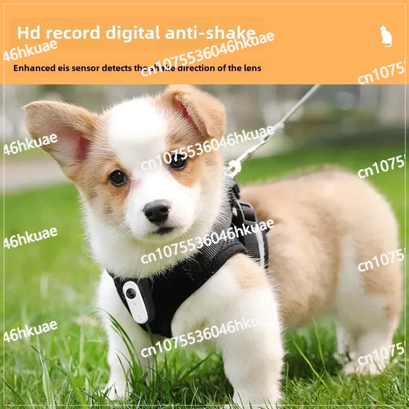 Köpekler ve Kediler için Su Ge - Outdoor Adventure Video incelemesi ve fiyatı