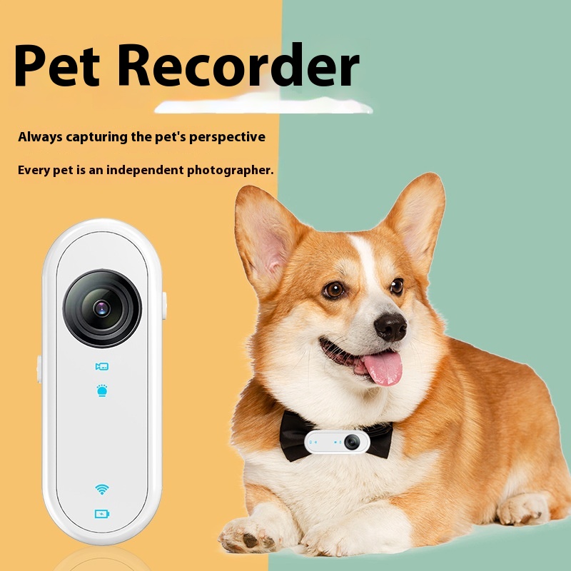 Köpekler ve Kediler için Su Ge - Outdoor Adventure Video incelemesi ve fiyatı